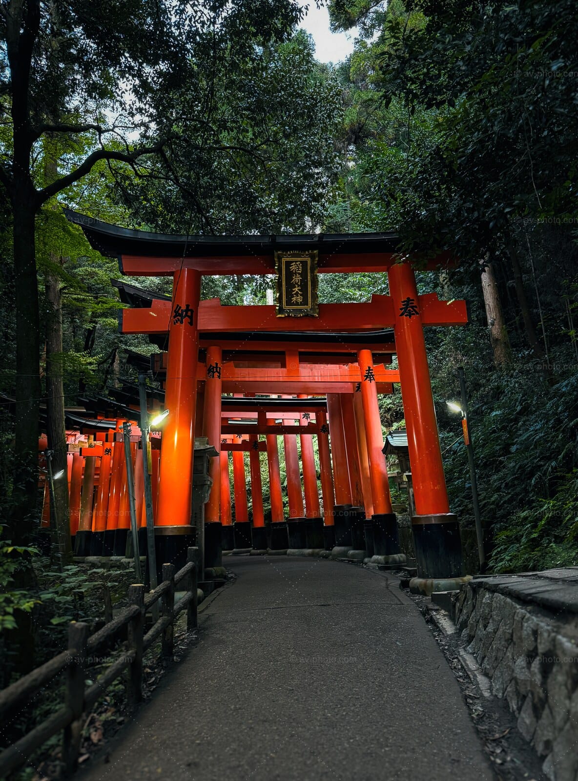 Torii Gateway Forest