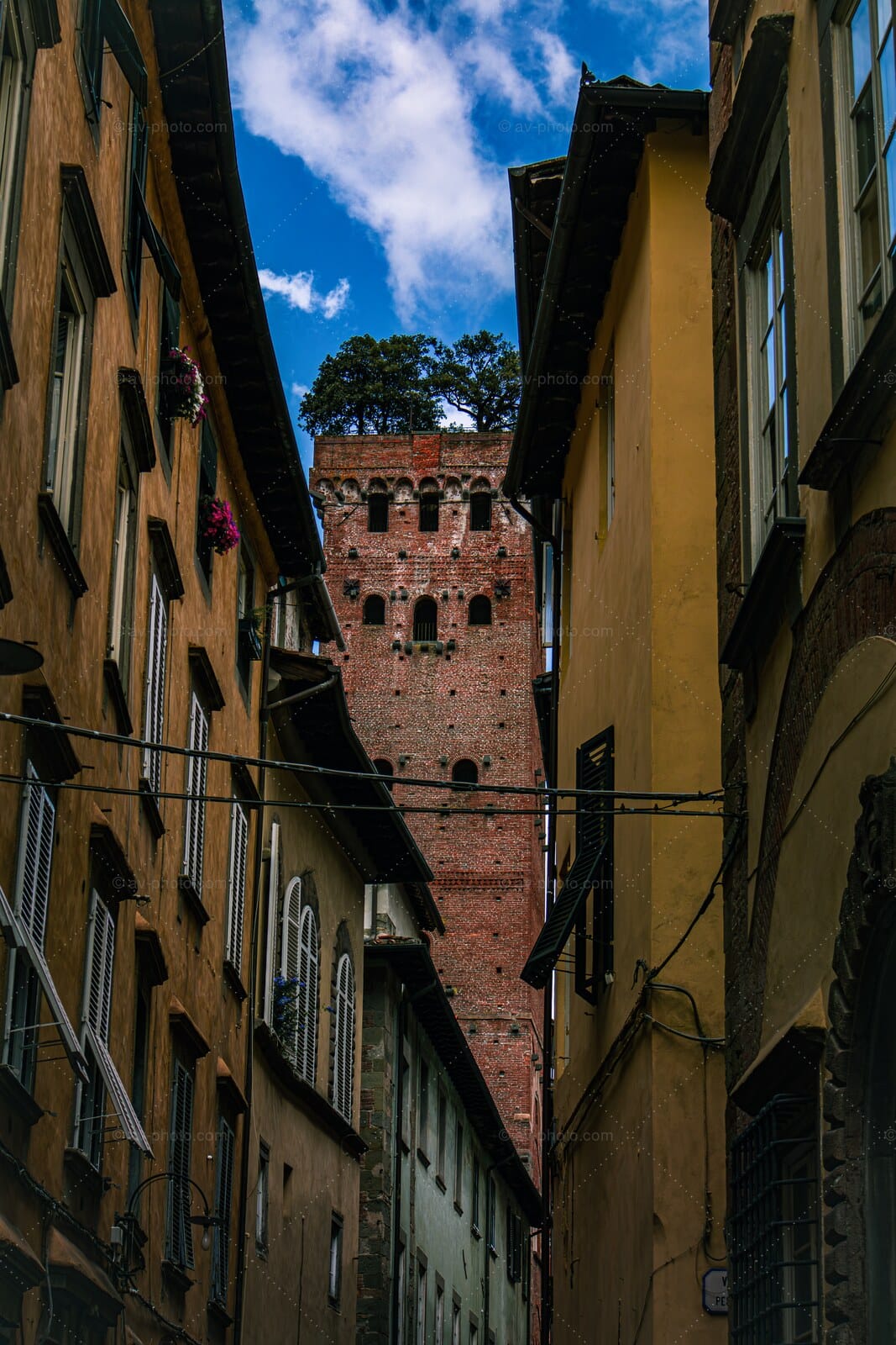 Lucca Guinigi Tower