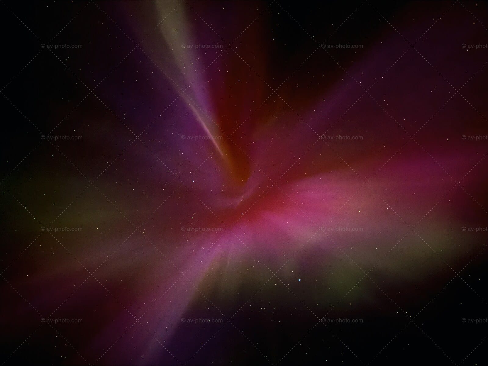 Aurora Magenta Bloom