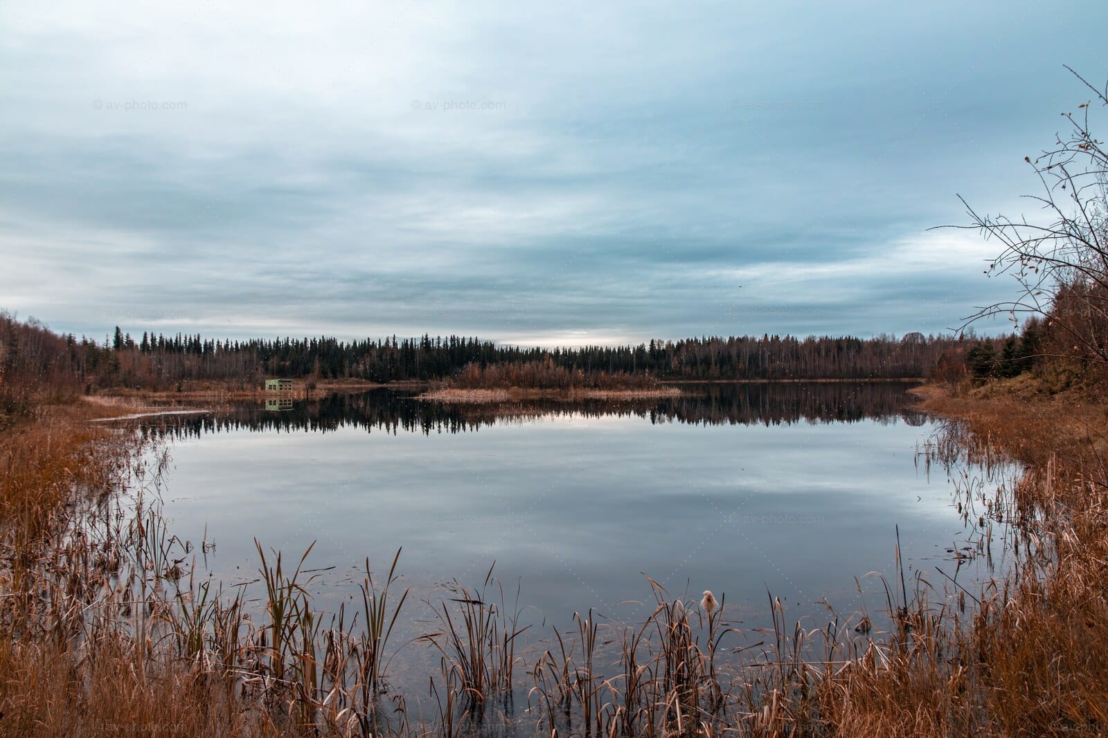 Autumn Boreal Lake