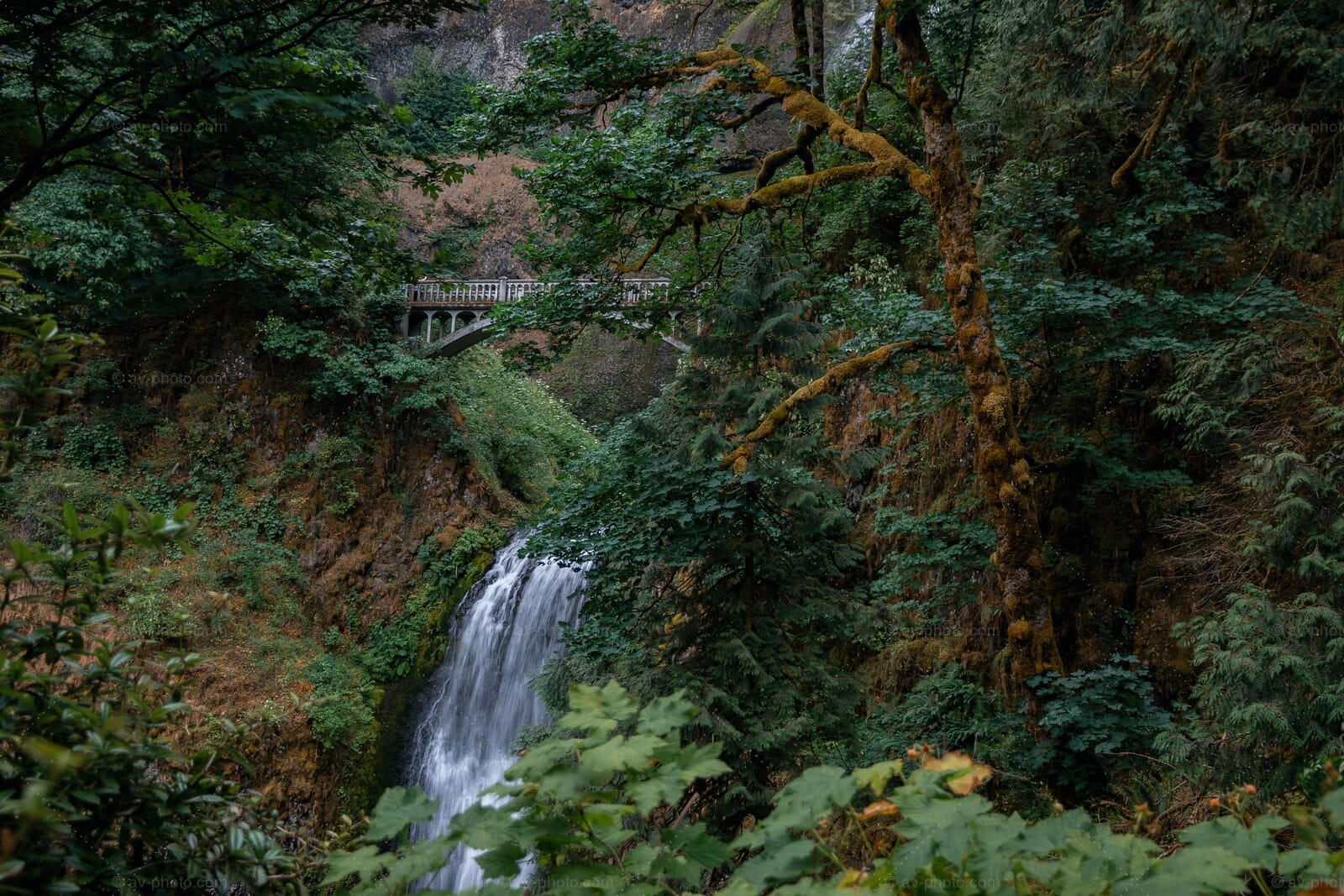 Multnomah Lower Gorge