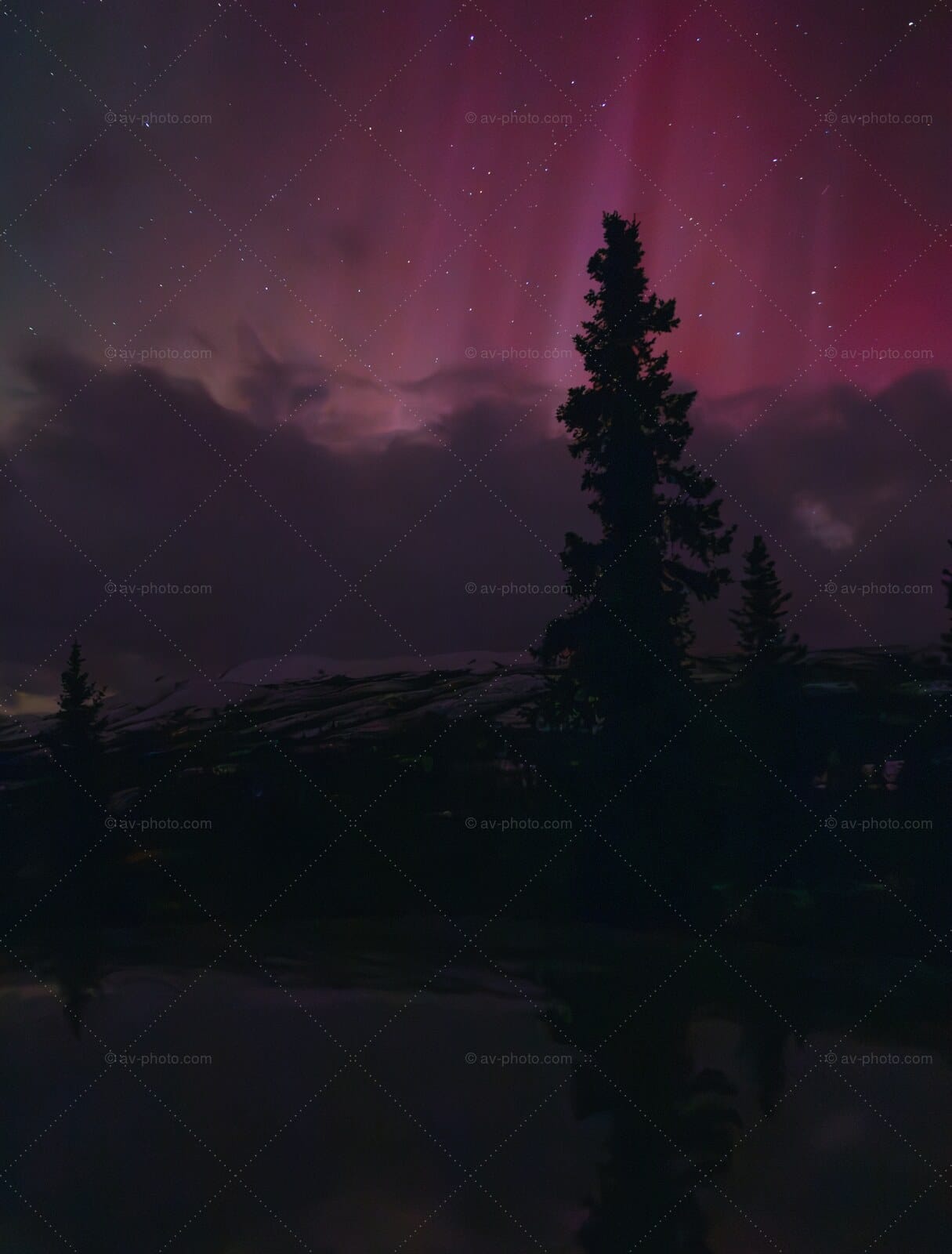 Aurora and Lone Spruce