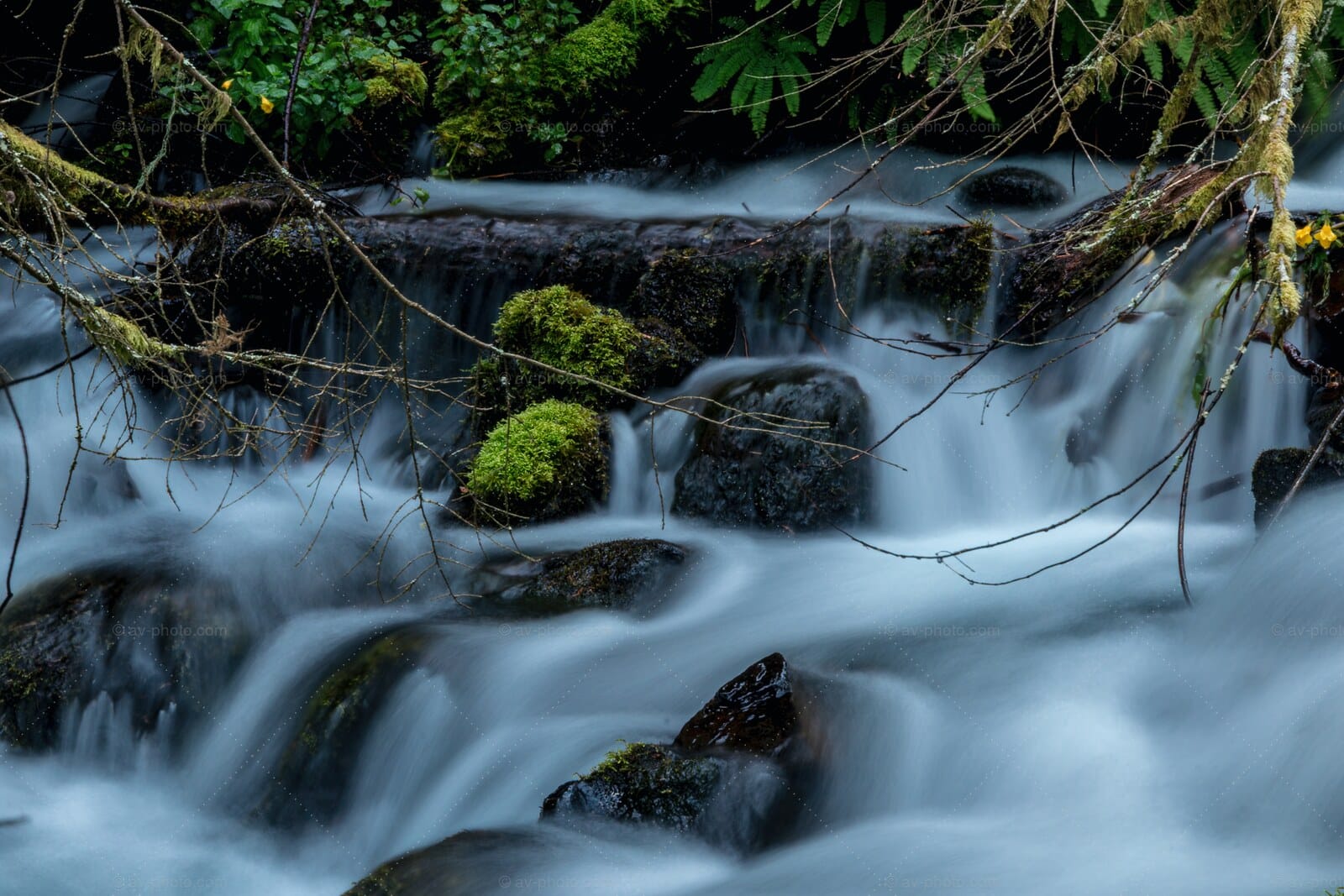Mossy Creek Cascade