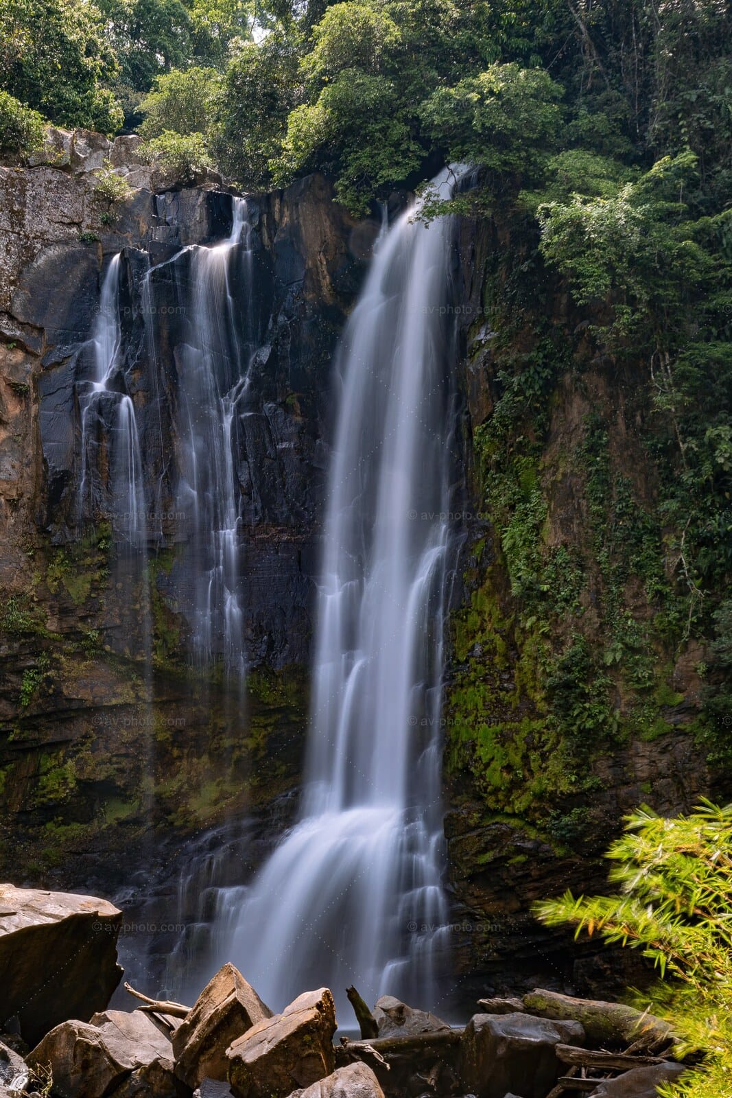 Jungle Twin Falls