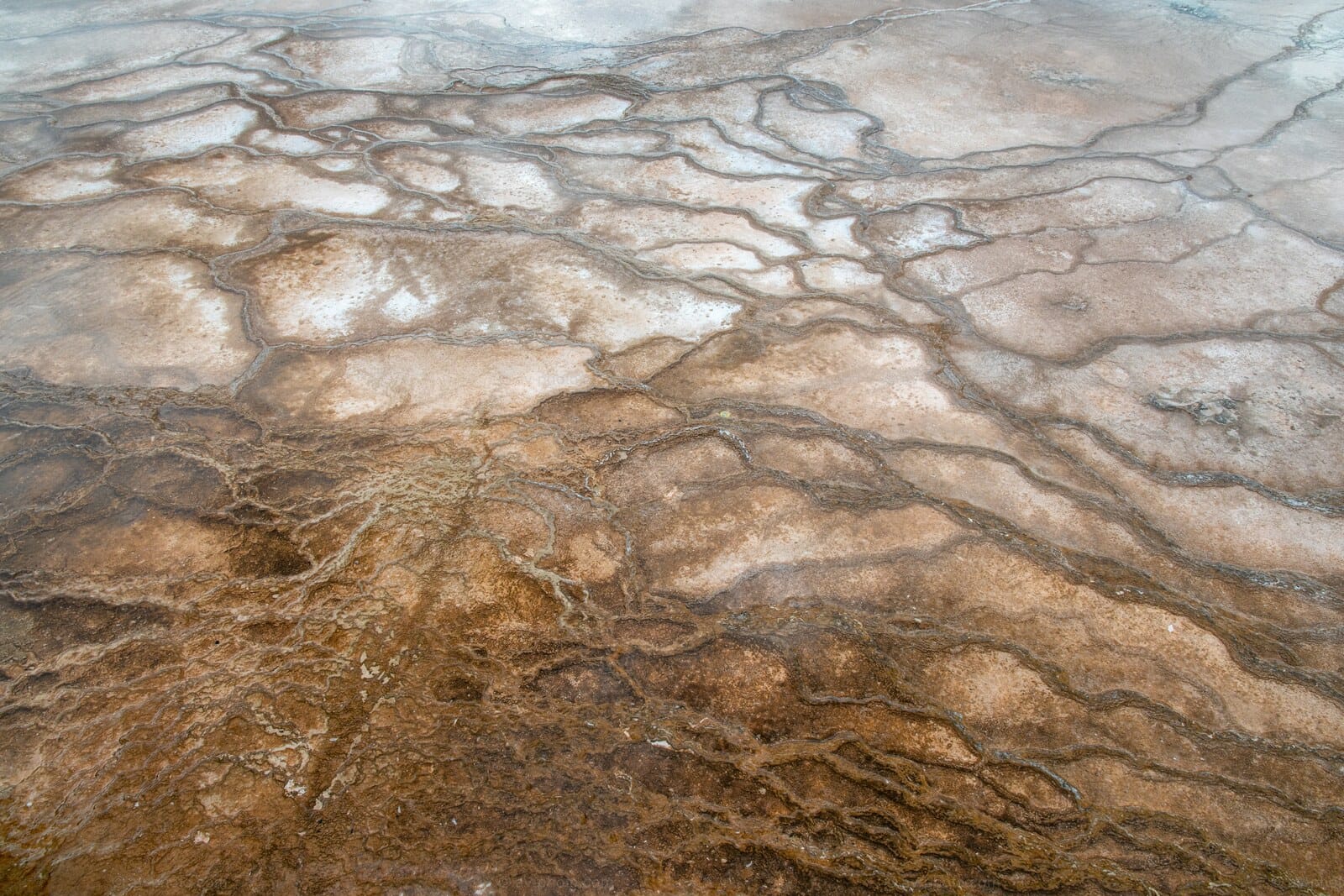 Geothermal Mat Texture