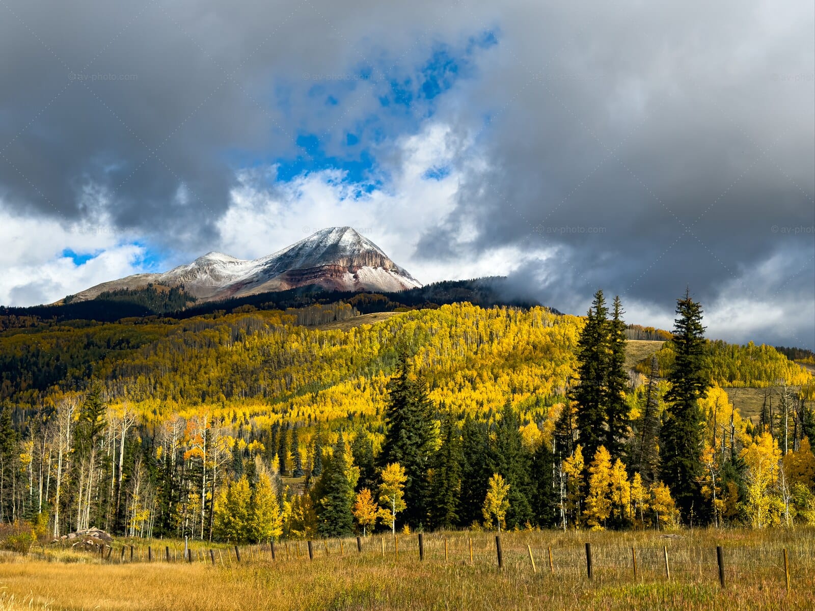 Aspen Gold Peak