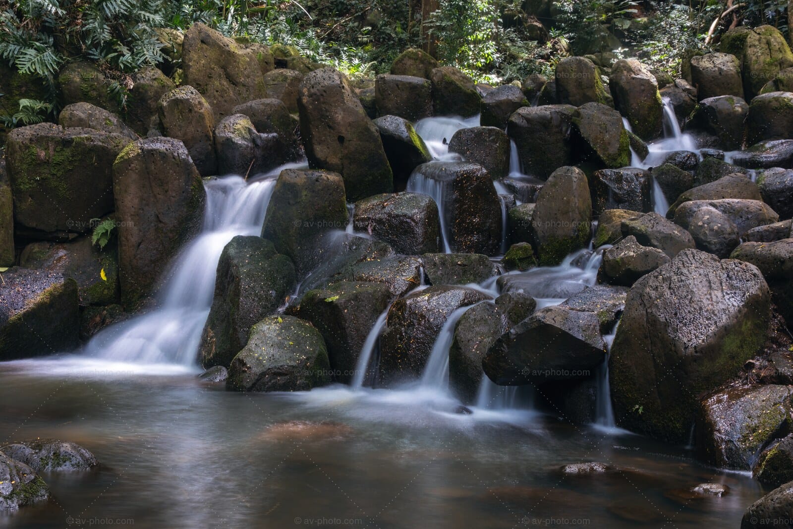 Rainforest Rock Cascade